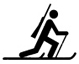 biathlon